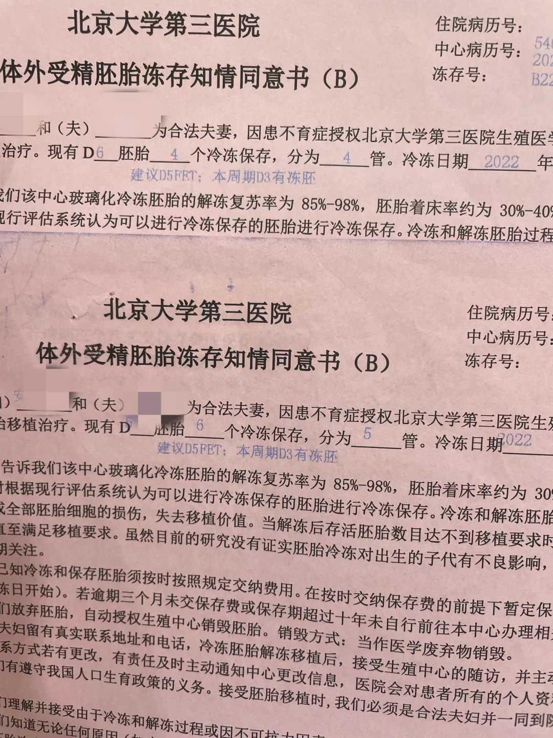 全面解析供卵试管婴儿流程费用：从检查到移植的详细开销